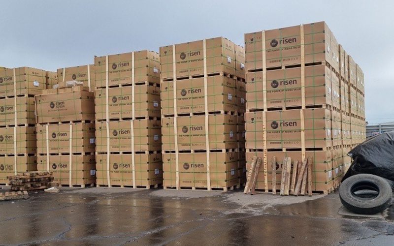 Top Tips To Avoid Freight Damage In Forwarding Processes